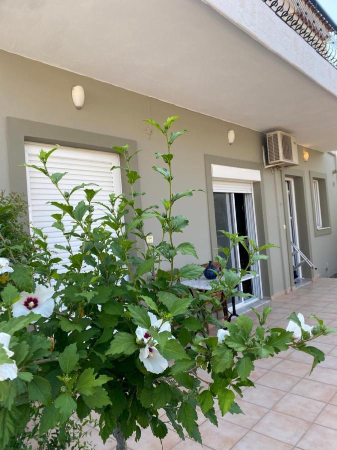 Ilisia Neapoli Apartments 1 Neapoli Voion Luaran gambar